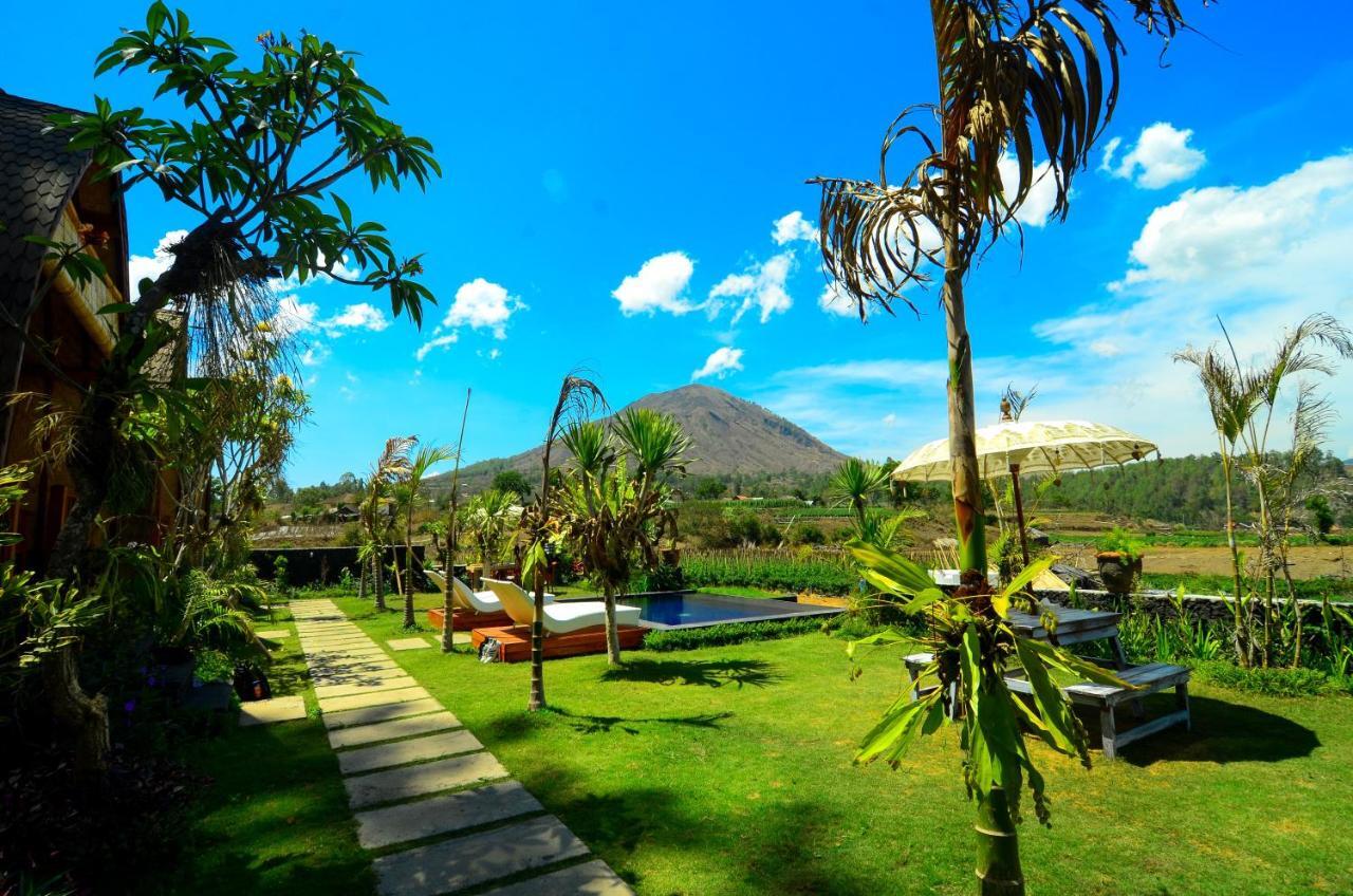 Batur Panorama Acomodação com café da manhã Kintamani Exterior foto